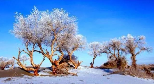 阿拉善今年活动,阿拉善户外活动