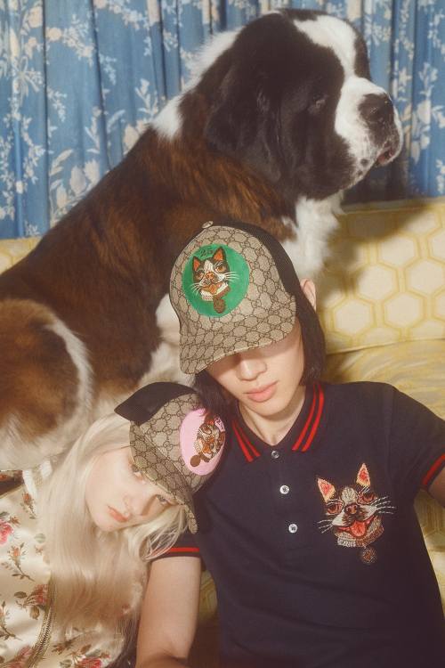 gucci狗狗系列,gucci最新款大狗