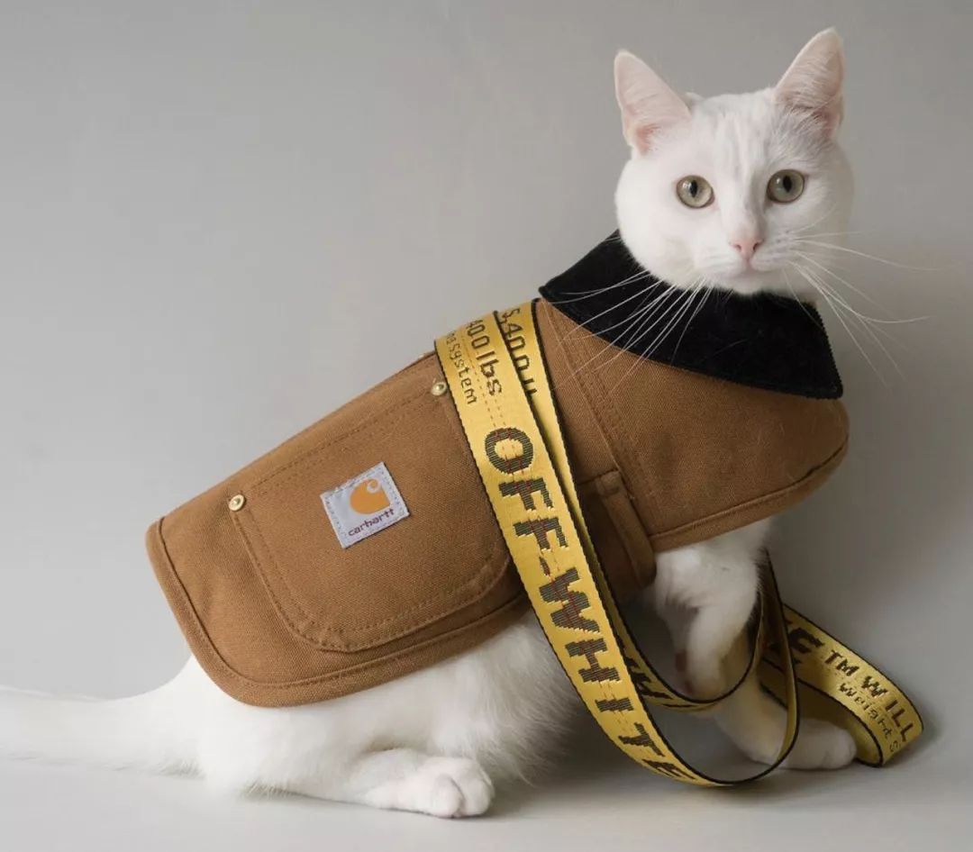 十二生肖驾到，时尚精们给我退下！