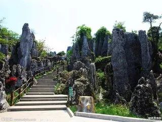 华蓥山风景区下雪了吗,华蓥山2022年2月1号下雪了吗