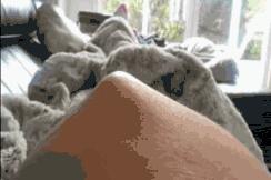 怀孕8个月胎动视频,怀孕8个月胎动不明显