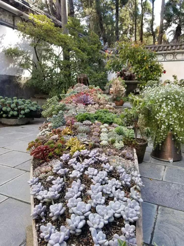 与大理古城最后一晚的邂逅,与大理的第五次相遇