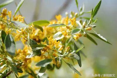 乡下通自来水,老家通暖气