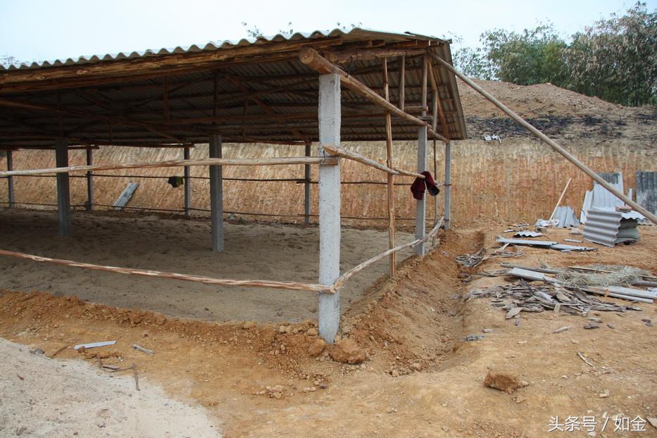 发酵床的正确方法,发酵床后期怎么维护