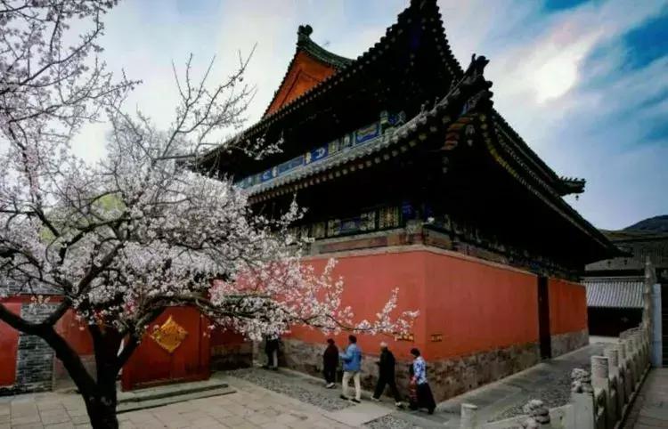 春节旅游一定要去五台山吗,今年冬天一定要去一趟五台山