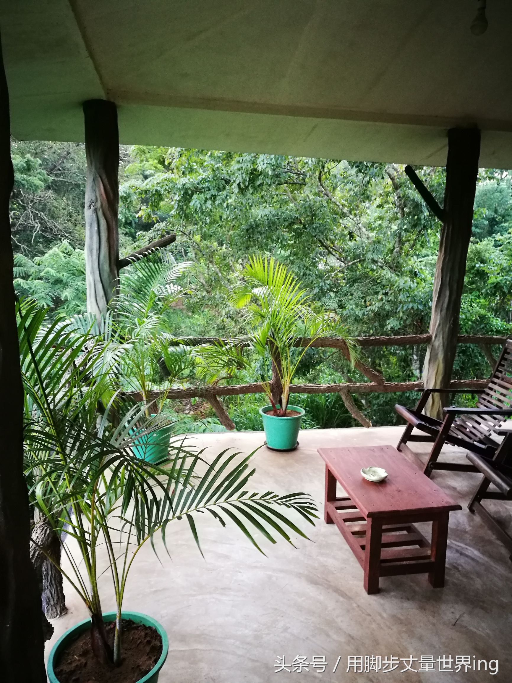 斯里兰卡旅游民宿排名第一,斯里兰卡私人民宿推荐