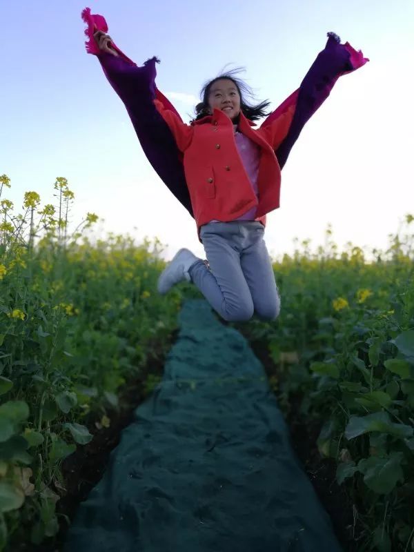 尼苏油菜花,快来打卡油菜花