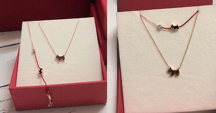 生肖吐槽,狗年生肖系列