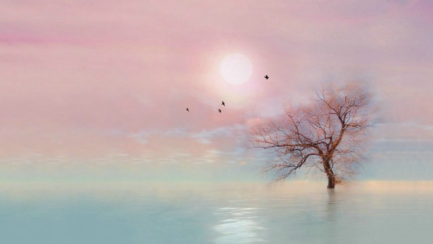 涂磊老师说过一段最扎心的话,关于爱情涂磊完整版