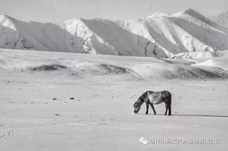 帕米尔高原肖贡巴哈尔节,帕米尔高原上的肖贡巴哈尔节
