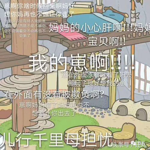 你知道青蛙旅行好玩，但不一定知道真正的青蛙早就玩过太空7日游