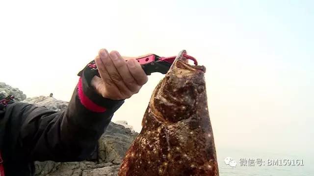 高手在民间三秒速记1000字,高手在民间三秒记一千字