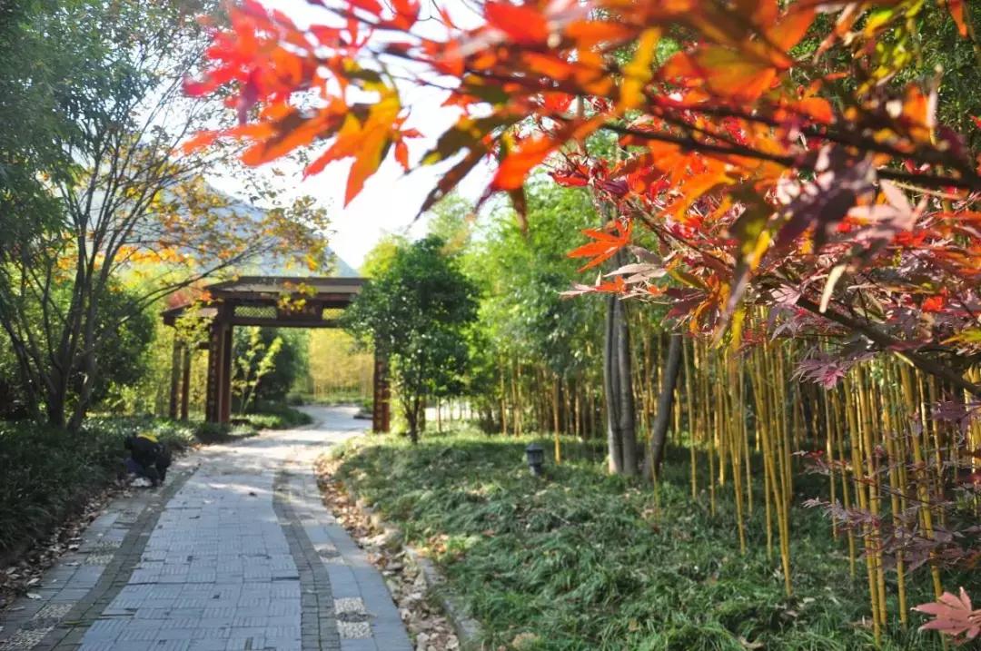 探一探海底世界，访一访竹林人家