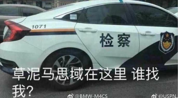 秒天秒地秒思域什么梗,思域调侃是什么梗