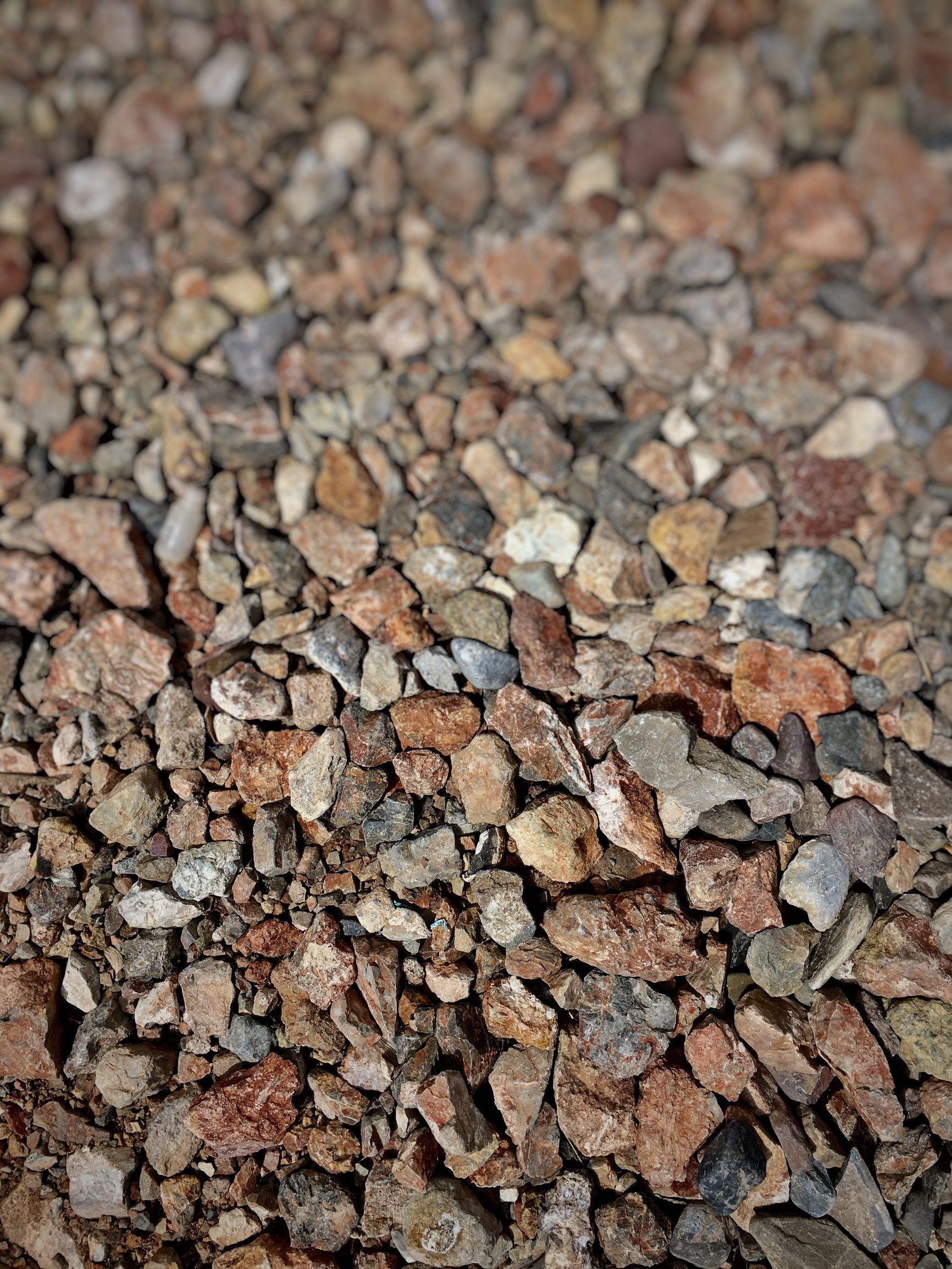 手机拍出背景虚化的视频,华为手机怎么拍出虚化背景