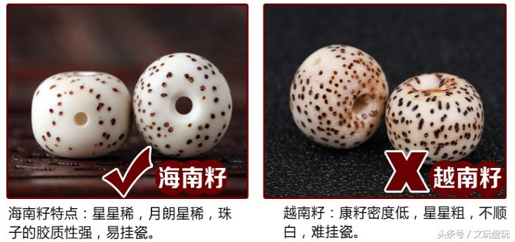 星月从外表如何判断真假,星月陈籽怎么鉴别真假