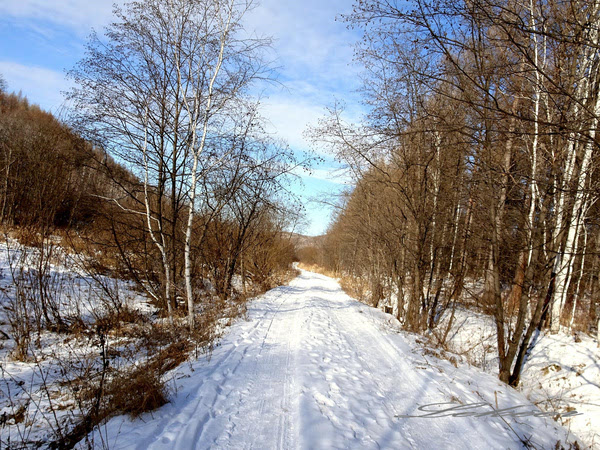 黑河兴安岭中有一个村款待客人方式怎么和蒙古族人一样？