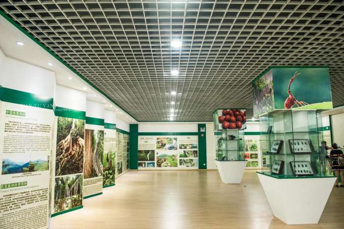 西双版纳最美公园是哪一个,西双版纳最主要景区有哪些