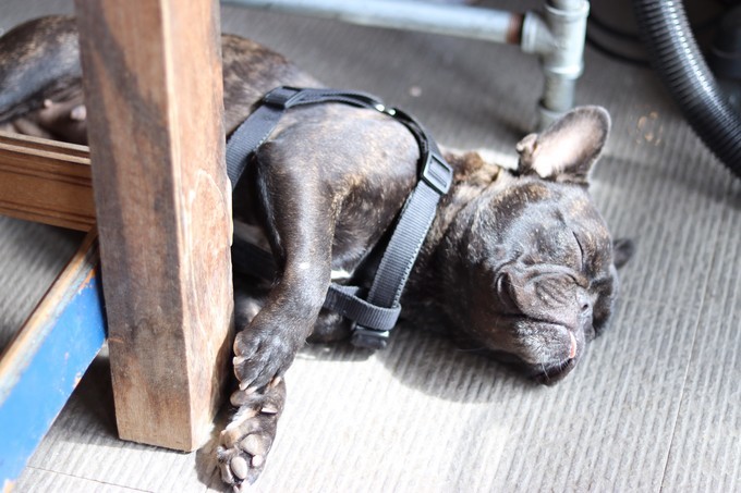 关上灯才意识到是黑夜,关上灯才知道它的魔力