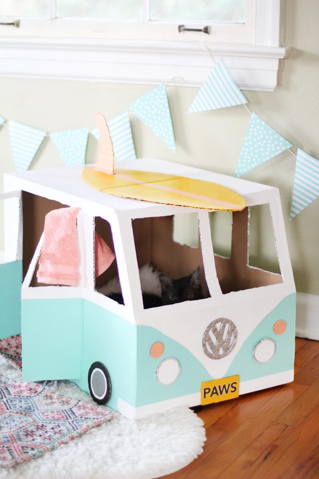 自制猫咪纸箱简单教程,纸箱自制一只迷你小宠物