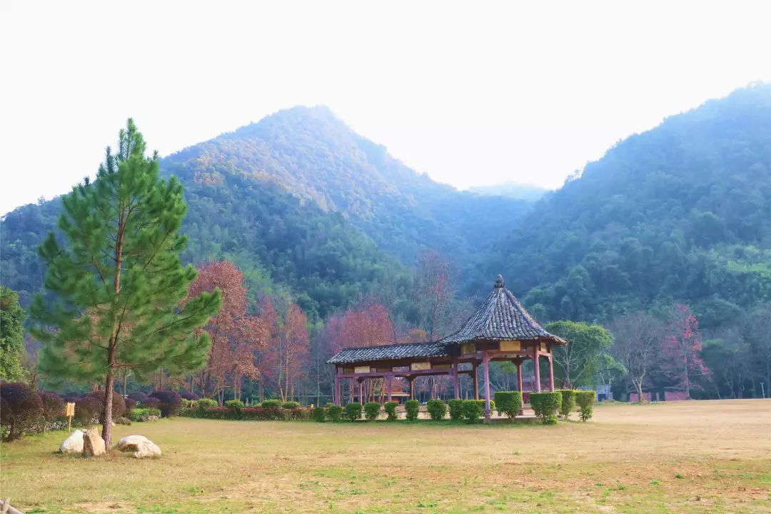 2018年春节你准备怎么过,2018年的春节你想在哪儿过