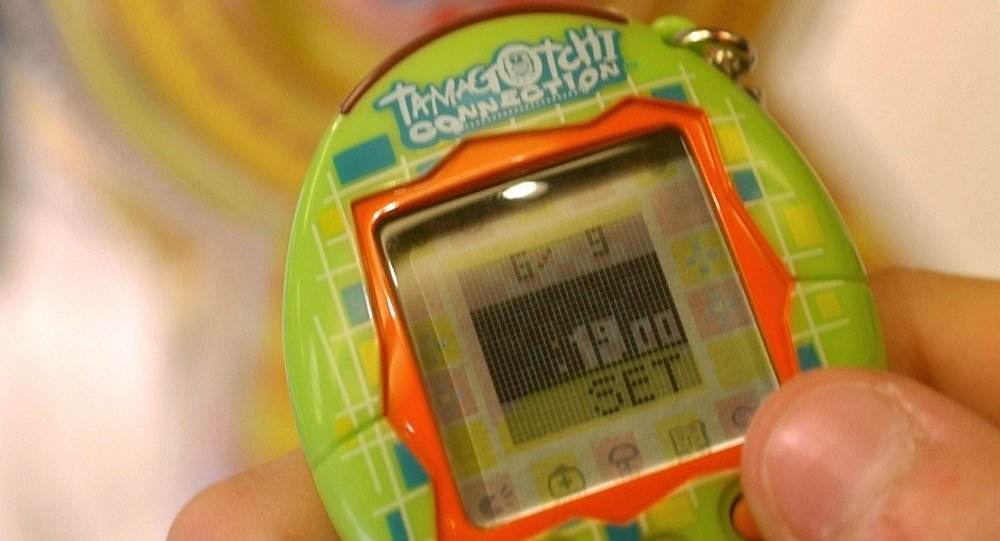 养宠物蛙的乐趣是什么,养蛙能培养出感情吗