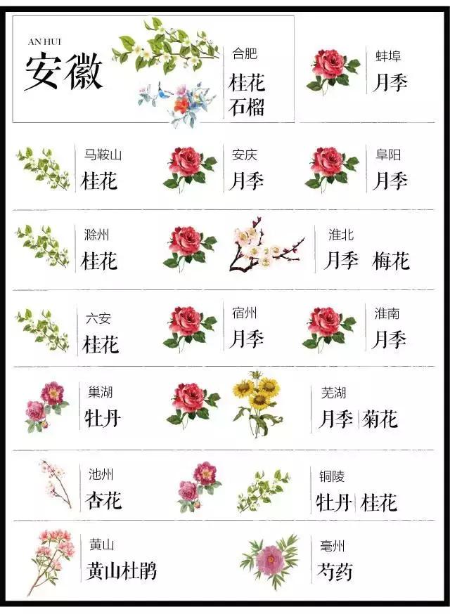 盘点史上最全中国各城市市花,中国各大城市的市花分别是什么