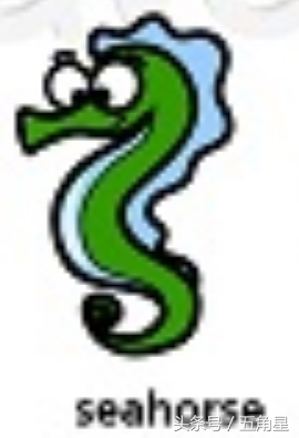 动物的英文单词都有哪些,动物英语单词13个