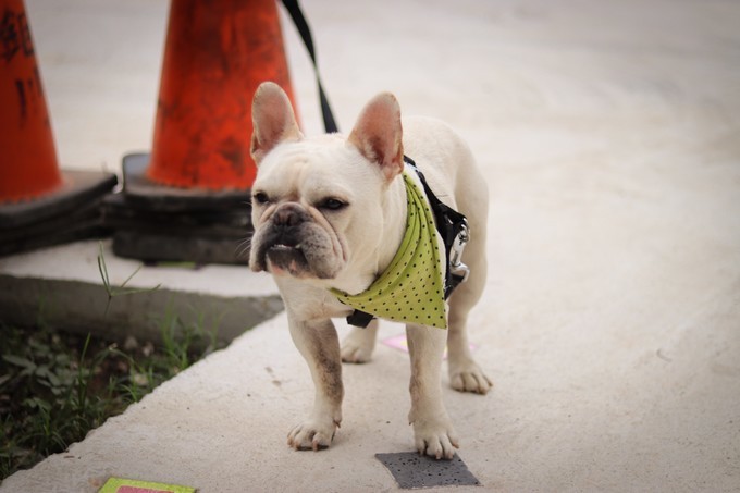 关上灯才意识到是黑夜,关上灯才知道它的魔力