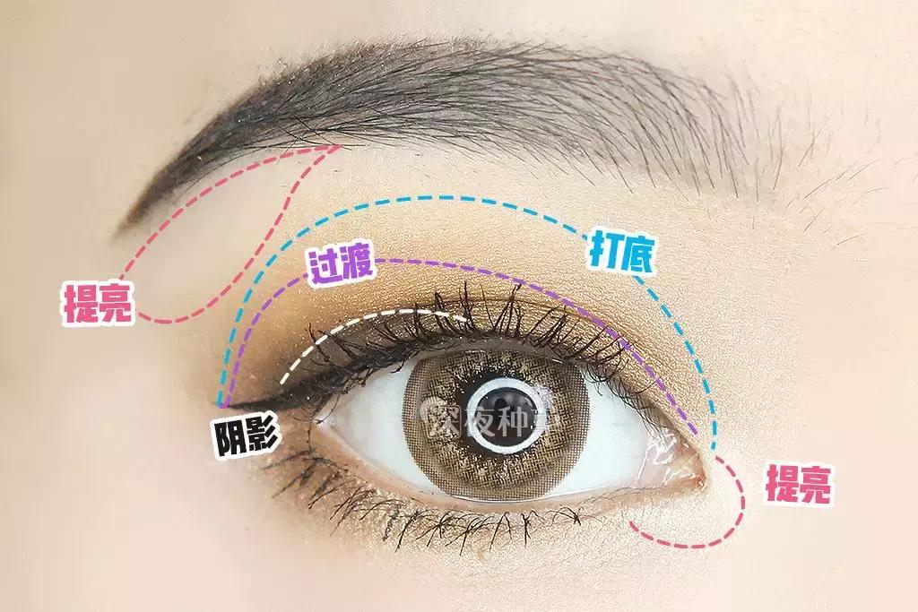 搞定整个眼妆的眼影盘推荐,眼妆新手眼影盘平价好用