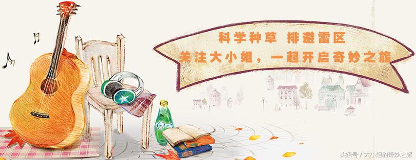 有哪些值得推荐的女装店,有哪些女装店铺适合新手