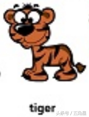 动物的英文单词都有哪些,动物英语单词13个