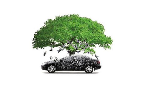 车上有鸟屎长时间不处理会怎么样,有鸟屎掉车上暂时不洗车怎么处理