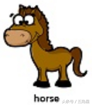 30个动物英语单词视频,动物的英语单词常见100个