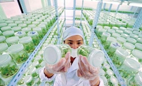 北大、国科大等纷纷设立农学院，农业院校如何为乡村振兴服务？