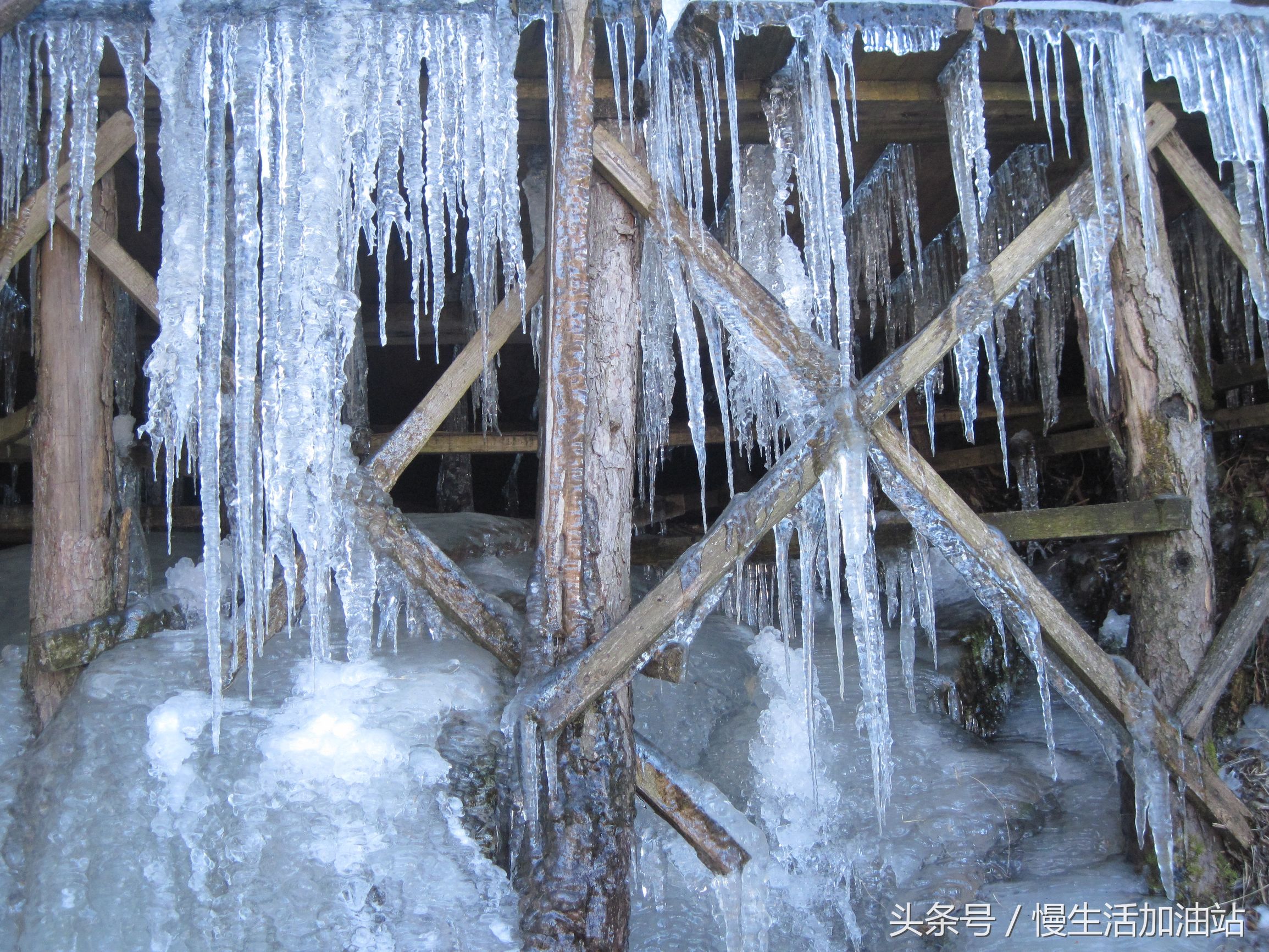 滇中轿子雪山风景区,滇中雪山