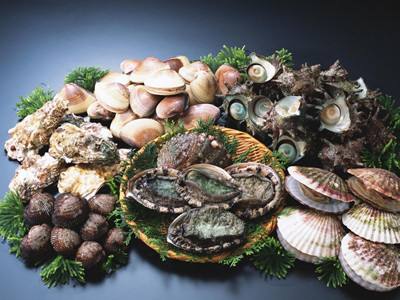 距离过年仅剩15天，营养学家支招买年货：春运如何把海鲜带回家