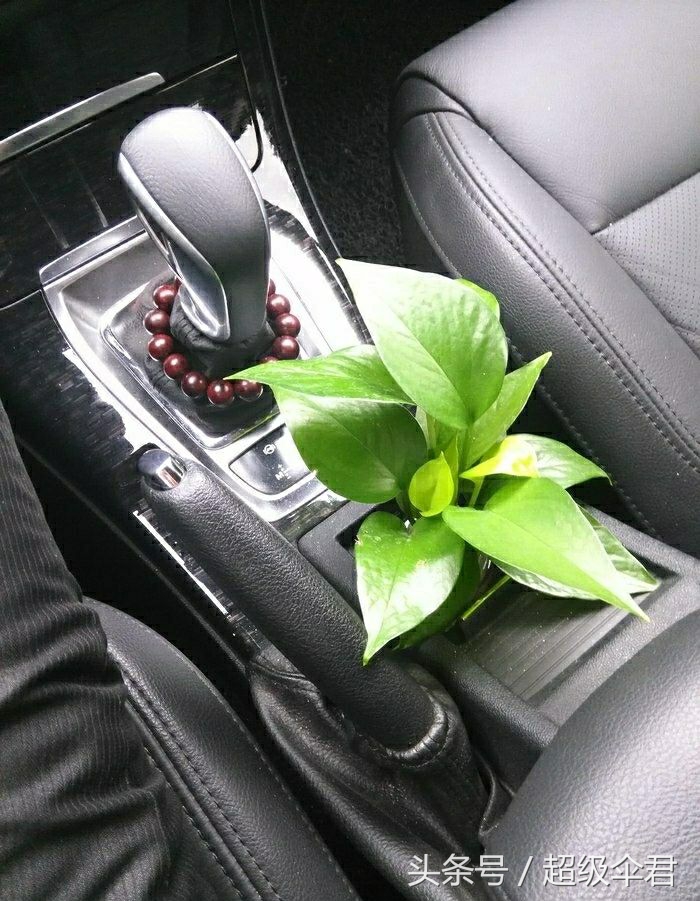 汽车脚垫除味方法,汽车暴晒除味正确方法