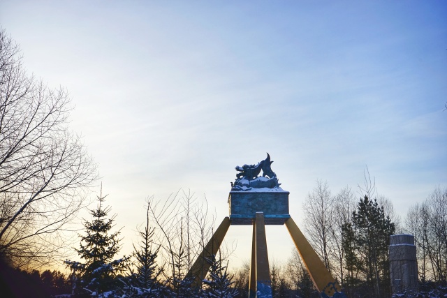 「新年目的地推荐一」金鸡之巅，边境梦雪，一路向北