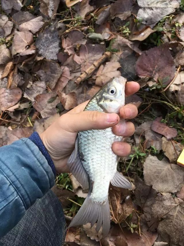 爆炸钩用好,你知道会有什么效果吗?