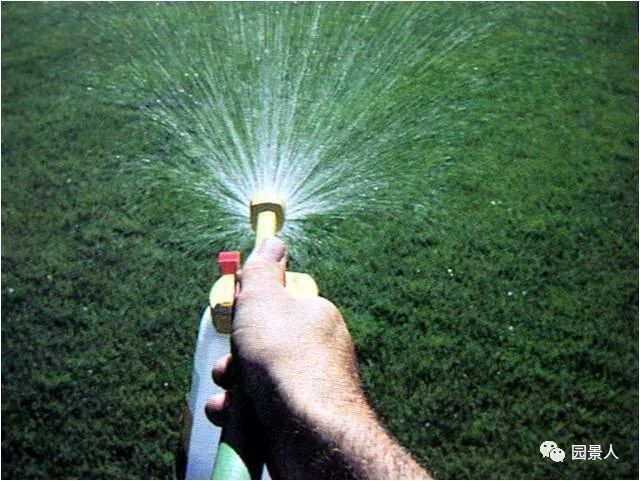 新铺的草坪怎么维护,草坪怎么维护保养
