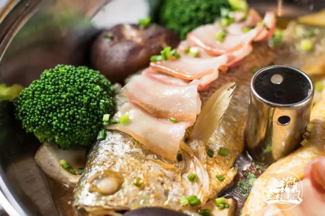 美蛙鱼头网红店浙江店,美蛙鱼头火锅网红店川味