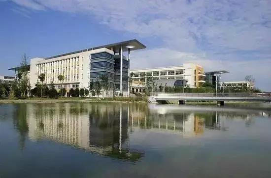 牛爆了原版视频,牛爆了