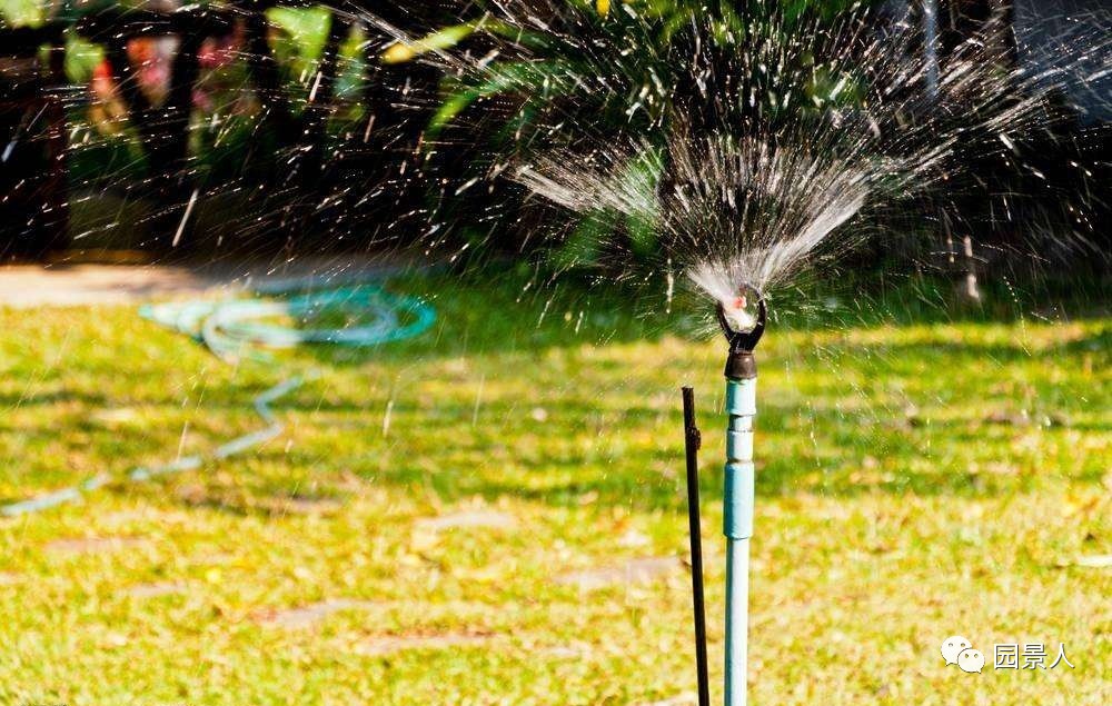 优质人造草坪维护,济宁人造草坪维护