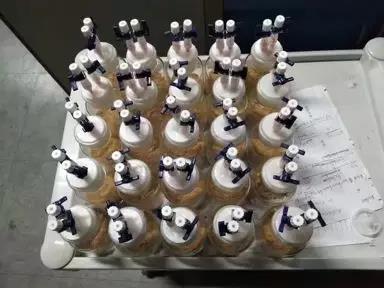 浙大学霸20门课程满绩笔记,学霸学神后面还有什么学习更好的