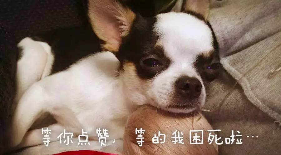 晚安故事结局反转,晚安故事反套路