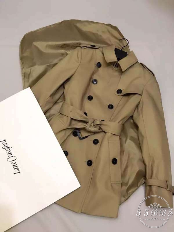 蚂蚁妈妈怀孕,蚂蚁妈妈怀孕了