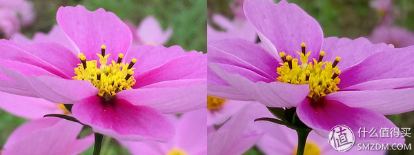 htcone和a9,htconea9和a9w