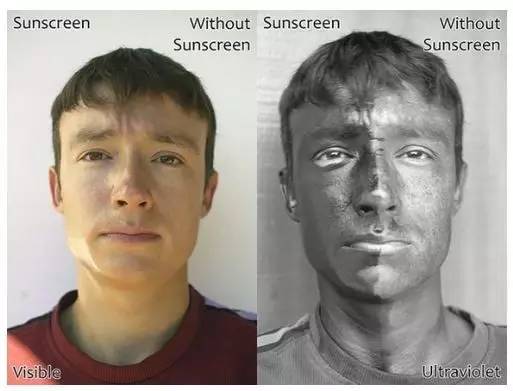 女士旅行必备,旅行出行必备