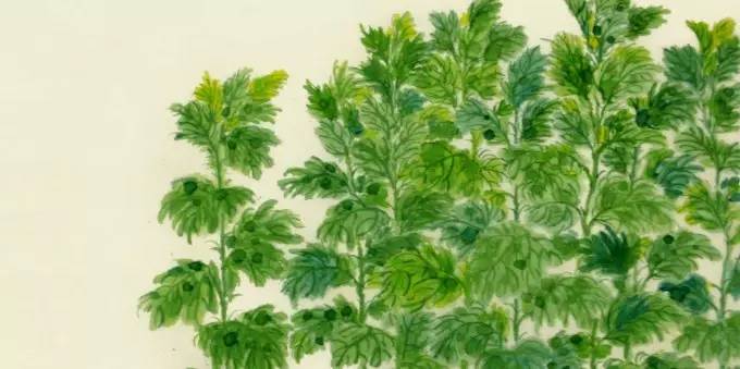 风水上卫生间应该注意什么,风水中如何消除湿气